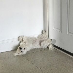 Meet your Posher, Sierra